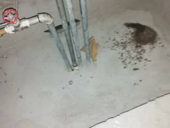 矿区卫生间测漏水价格明细